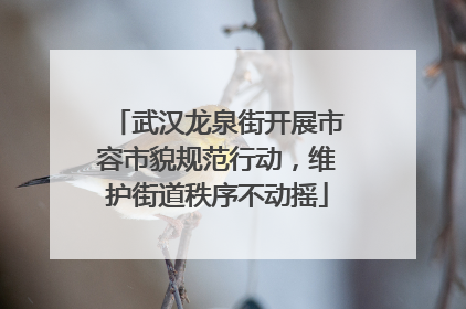 武汉龙泉街开展市容市貌规范行动，维护街道秩序不动摇