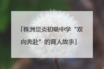 株洲景炎初级中学“双向奔赴”的育人故事
