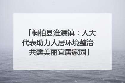桐柏县淮源镇：人大代表助力人居环境整治 共建美丽宜居家园