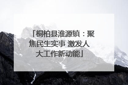 桐柏县淮源镇：聚焦民生实事 激发人大工作新动能