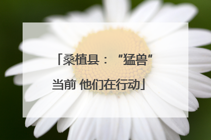 桑植县：“猛兽”当前 他们在行动