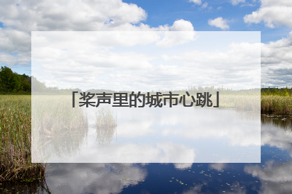 桨声里的城市心跳
