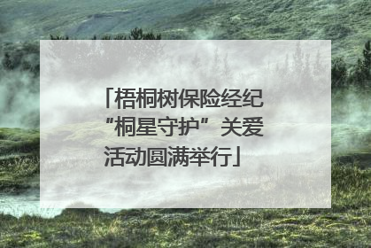 梧桐树保险经纪“桐星守护”关爱活动圆满举行