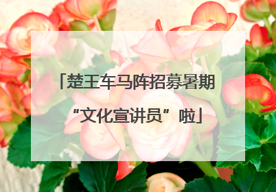 楚王车马阵招募暑期“文化宣讲员”啦