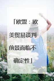 欧盟：欧美贸易谈判前景面临不确定性