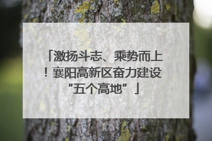 激扬斗志、乘势而上！襄阳高新区奋力建设 “五个高地”