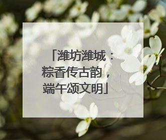 潍坊潍城：粽香传古韵，端午颂文明