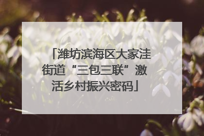 潍坊滨海区大家洼街道“三包三联”激活乡村振兴密码