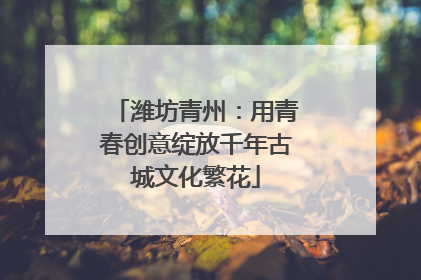 潍坊青州：用青春创意绽放千年古城文化繁花