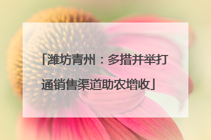 潍坊青州：多措并举打通销售渠道助农增收