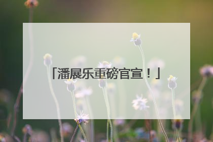 潘展乐重磅官宣！