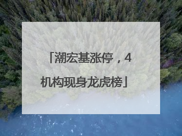 潮宏基涨停，4机构现身龙虎榜