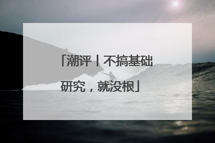 潮评丨不搞基础研究，就没根