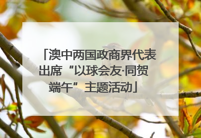 澳中两国政商界代表出席“以球会友·同贺端午”主题活动