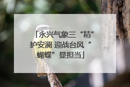 永兴气象三“精”护安澜 迎战台风“蝴蝶”显担当