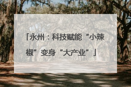 永州：科技赋能“小辣椒”变身“大产业”