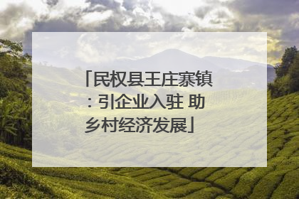民权县王庄寨镇：引企业入驻 助乡村经济发展