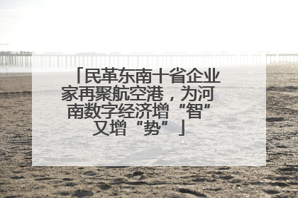 民革东南十省企业家再聚航空港，为河南数字经济增“智”又增“势”