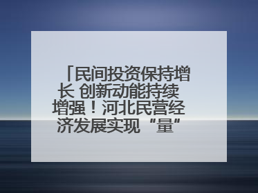 民间投资保持增长 创新动能持续增强！河北民营经济发展实现“量”“质”双提升