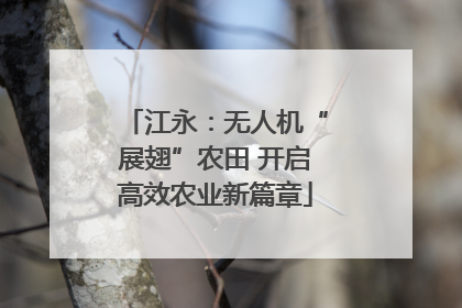江永：无人机“展翅”农田 开启高效农业新篇章