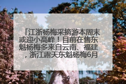 江浙杨梅采摘游本周末或迎小高峰！目前在售东魁杨梅多来自云南、福建，浙江露天东魁杨梅6月中旬大量上市