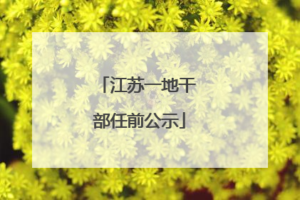江苏一地干部任前公示