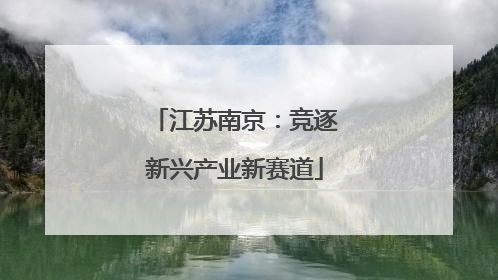 江苏南京：竞逐新兴产业新赛道