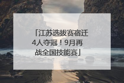 江苏选拔赛宿迁4人夺冠！9月再战全国技能赛