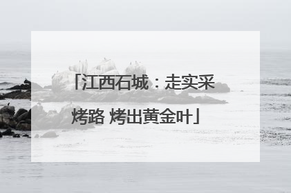 江西石城：走实采烤路 烤出黄金叶