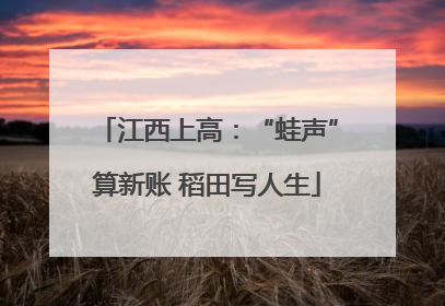 江西上高：“蛙声”算新账 稻田写人生