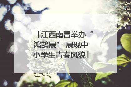 江西南昌举办“鸿鹄展” 展现中小学生青春风貌