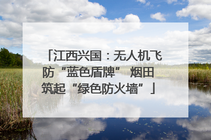 江西兴国：无人机飞防“蓝色盾牌” 烟田筑起“绿色防火墙”