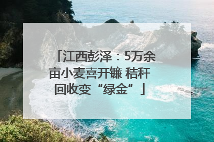 江西彭泽：5万余亩小麦喜开镰 秸秆回收变“绿金”