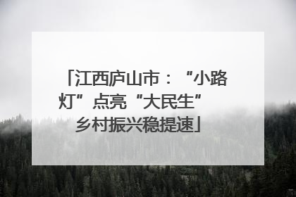 江西庐山市：“小路灯”点亮“大民生” 乡村振兴稳提速
