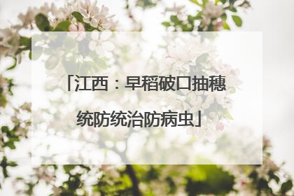 江西：早稻破口抽穗 统防统治防病虫