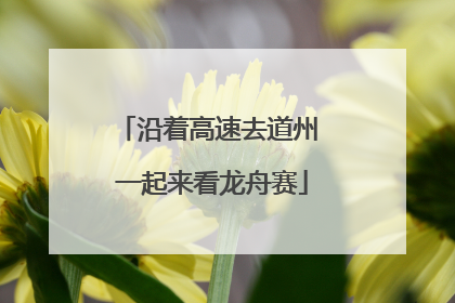 沿着高速去道州 一起来看龙舟赛