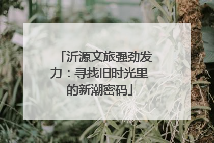 沂源文旅强劲发力：寻找旧时光里的新潮密码
