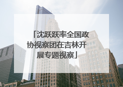 沈跃跃率全国政协视察团在吉林开展专题视察