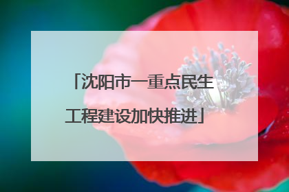 沈阳市一重点民生工程建设加快推进