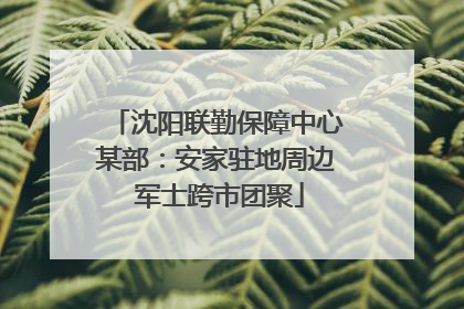 沈阳联勤保障中心某部：安家驻地周边 军士跨市团聚