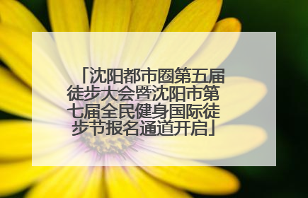 沈阳都市圈第五届徒步大会暨沈阳市第七届全民健身国际徒步节报名通道开启