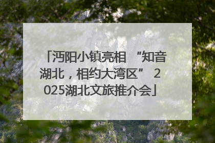 沔阳小镇亮相 “知音湖北，相约大湾区” 2025湖北文旅推介会
