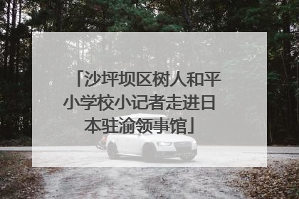 沙坪坝区树人和平小学校小记者走进日本驻渝领事馆