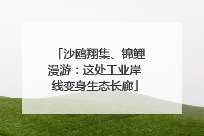 沙鸥翔集、锦鲤漫游：这处工业岸线变身生态长廊