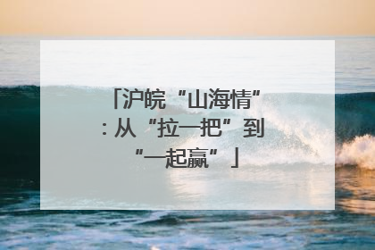 沪皖“山海情”：从“拉一把”到“一起赢”