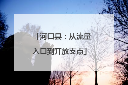 河口县：从流量入口到开放支点