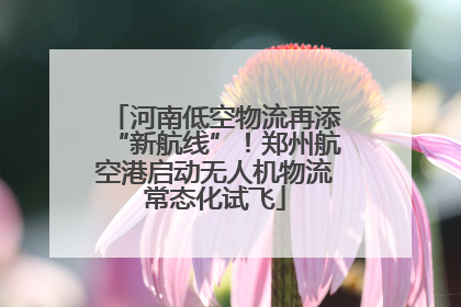 河南低空物流再添“新航线”！郑州航空港启动无人机物流常态化试飞