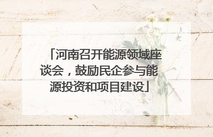 河南召开能源领域座谈会，鼓励民企参与能源投资和项目建设