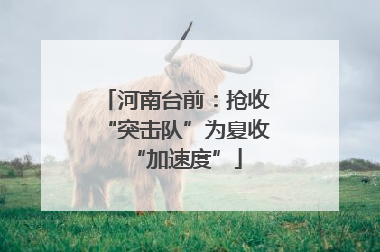 河南台前：抢收“突击队”为夏收“加速度”
