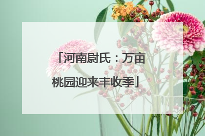 河南尉氏：万亩桃园迎来丰收季